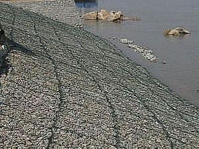 雷諾護(hù)墊 雷諾護(hù)墊