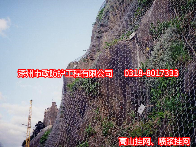 重型六角網(wǎng)